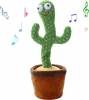 Cactus Cactus that Dancing and Speaking